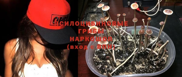 марки nbome Елабуга