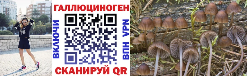 Галлюциногенные грибы Cubensis  Завитинск 